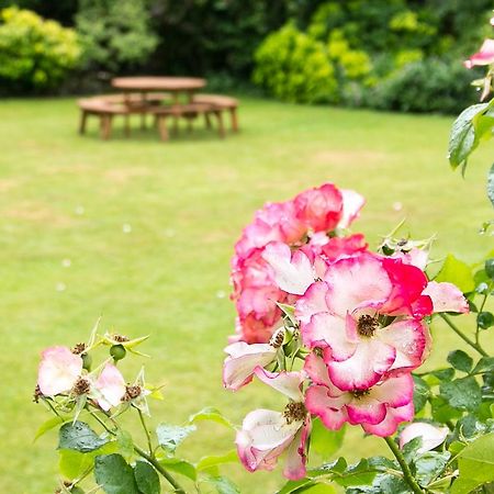Beechwood Close York Zewnętrze zdjęcie