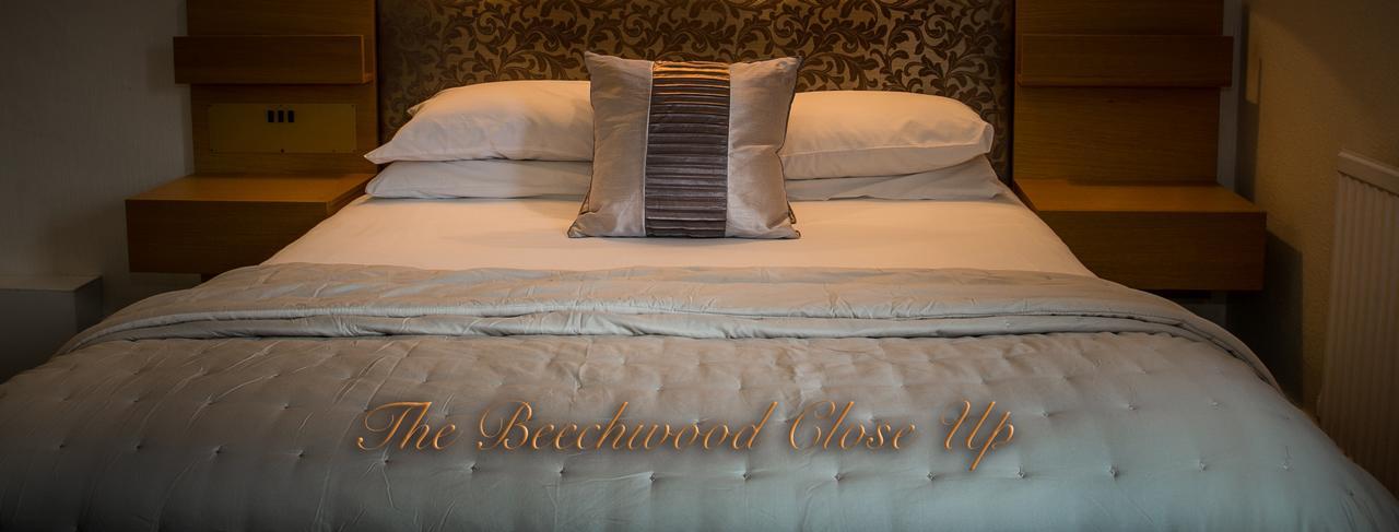 Beechwood Close York Zewnętrze zdjęcie
