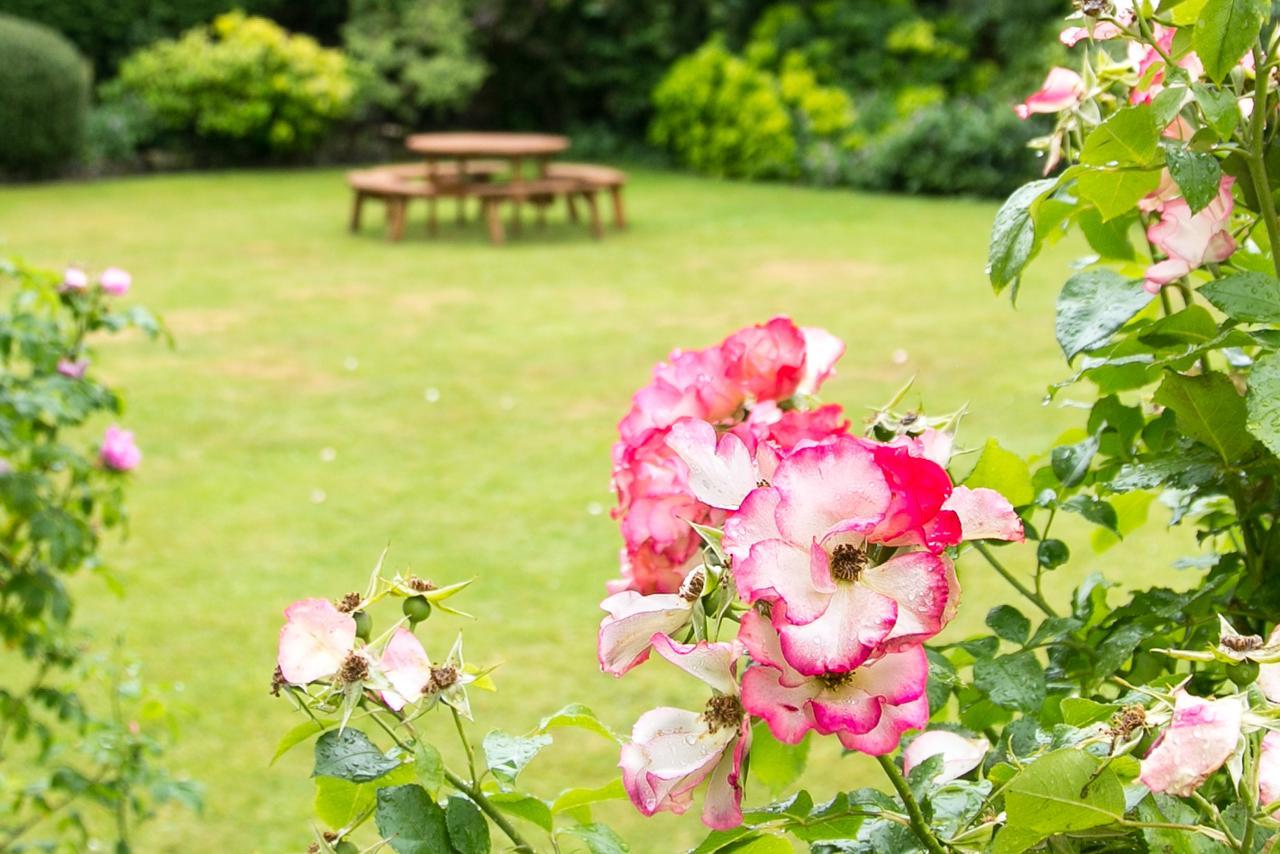 Beechwood Close York Zewnętrze zdjęcie
