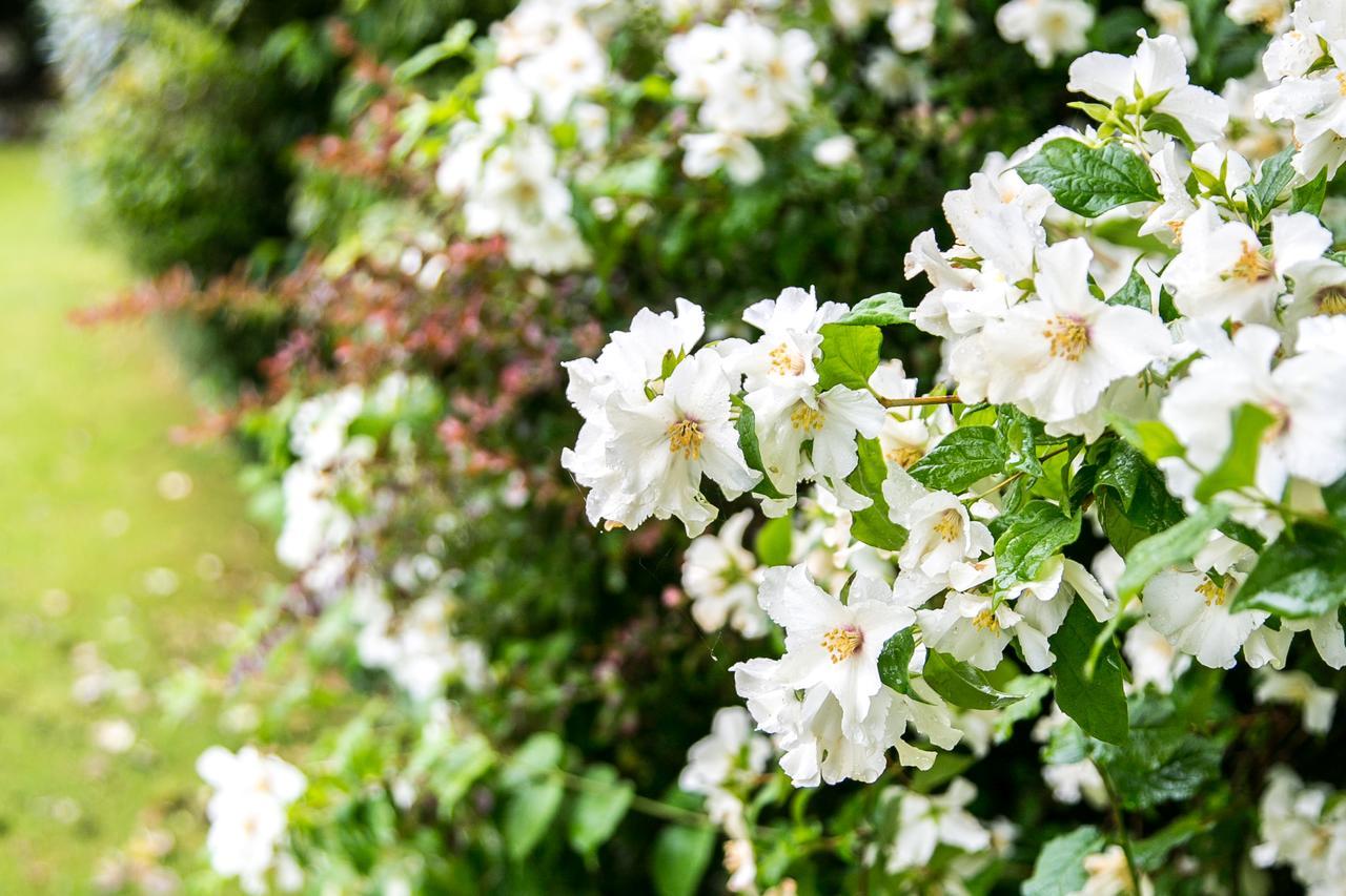 Beechwood Close York Zewnętrze zdjęcie