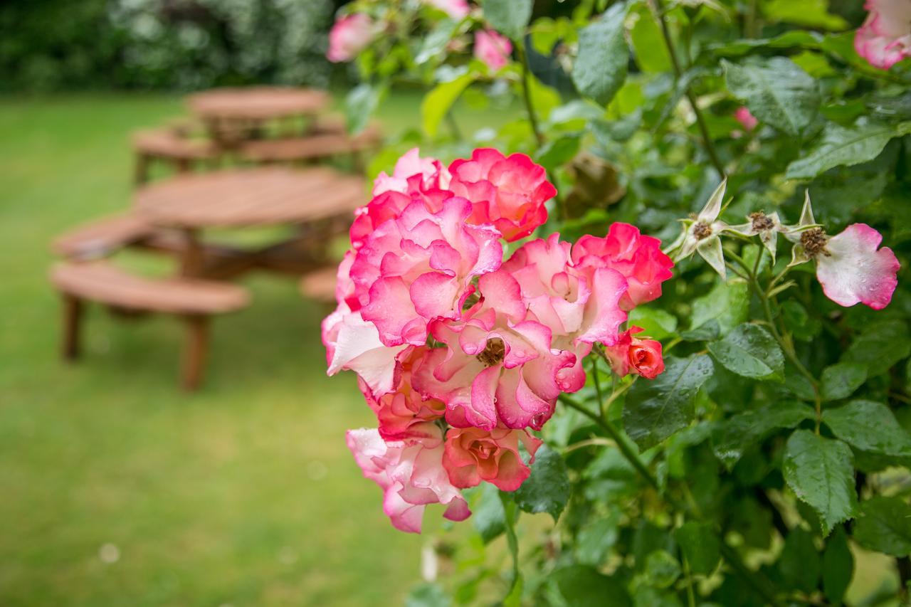Beechwood Close York Zewnętrze zdjęcie